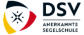 DSV Logo